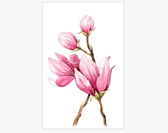 Watercolor Magnolia, Original Painting, Magnolia Branches, Magnolia Painting, Botanical Illustration, Pink Flower Art, Flower Watercolor