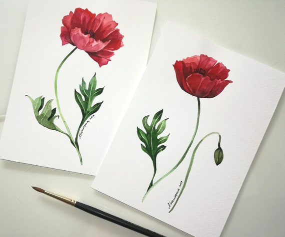 Watercolor Botanical Cards Poppy Painting Red Poppies Art | Etsy