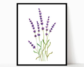 Estampado de lavanda, Estampado de flores, Ilustración de lavanda, Arte de lavanda, Estampado botánico, Ilustración de flores, Pintura de flores, Decoración de arte de pared