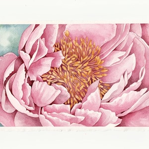 Aquarelle pivoine rose, peinture originale, peinture pivoine, fleur rose, aquarelle de fleurs, art mural, oeuvre d'art originale, aquarelle pivoine