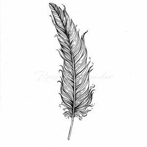 May include: A black and white line drawing of a single feather with detailed lines and a long, thin stem.