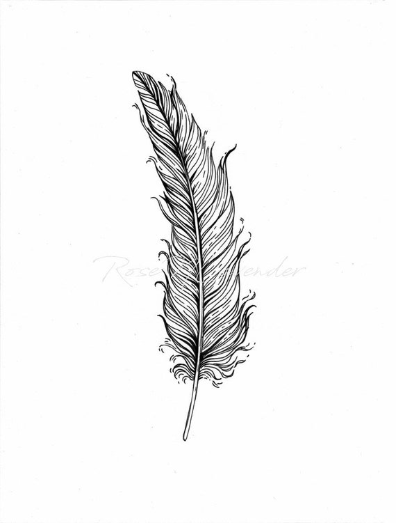 Black And White Feather Pattern