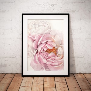 K&ouml;nnte beinhalten: Ein Aquarellbild von rosa Pfingstrosen vor hellem Hintergrund. Die Pfingstrosen stehen in voller Bl&uuml;te und haben ein zartes, geschichtetes Aussehen. Das Bild ist in einem schwarzen Rahmen gerahmt.