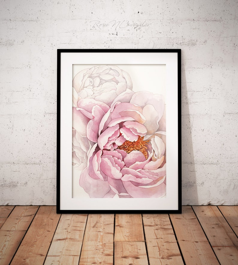 K&ouml;nnte beinhalten: Ein Aquarellbild von rosa Pfingstrosen vor hellem Hintergrund. Die Pfingstrosen stehen in voller Bl&uuml;te und haben ein zartes, geschichtetes Aussehen. Das Bild ist in einem schwarzen Rahmen gerahmt.