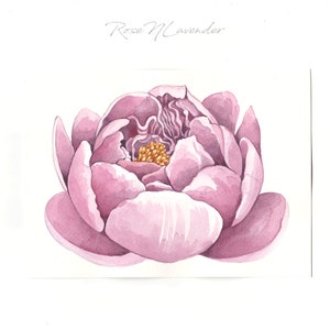 Watercolor Pink Peony, Original Artwork, Original Watercolor, Flower Painting, Flower Watercolor, Peony Painting, Flower Art, Small Painting