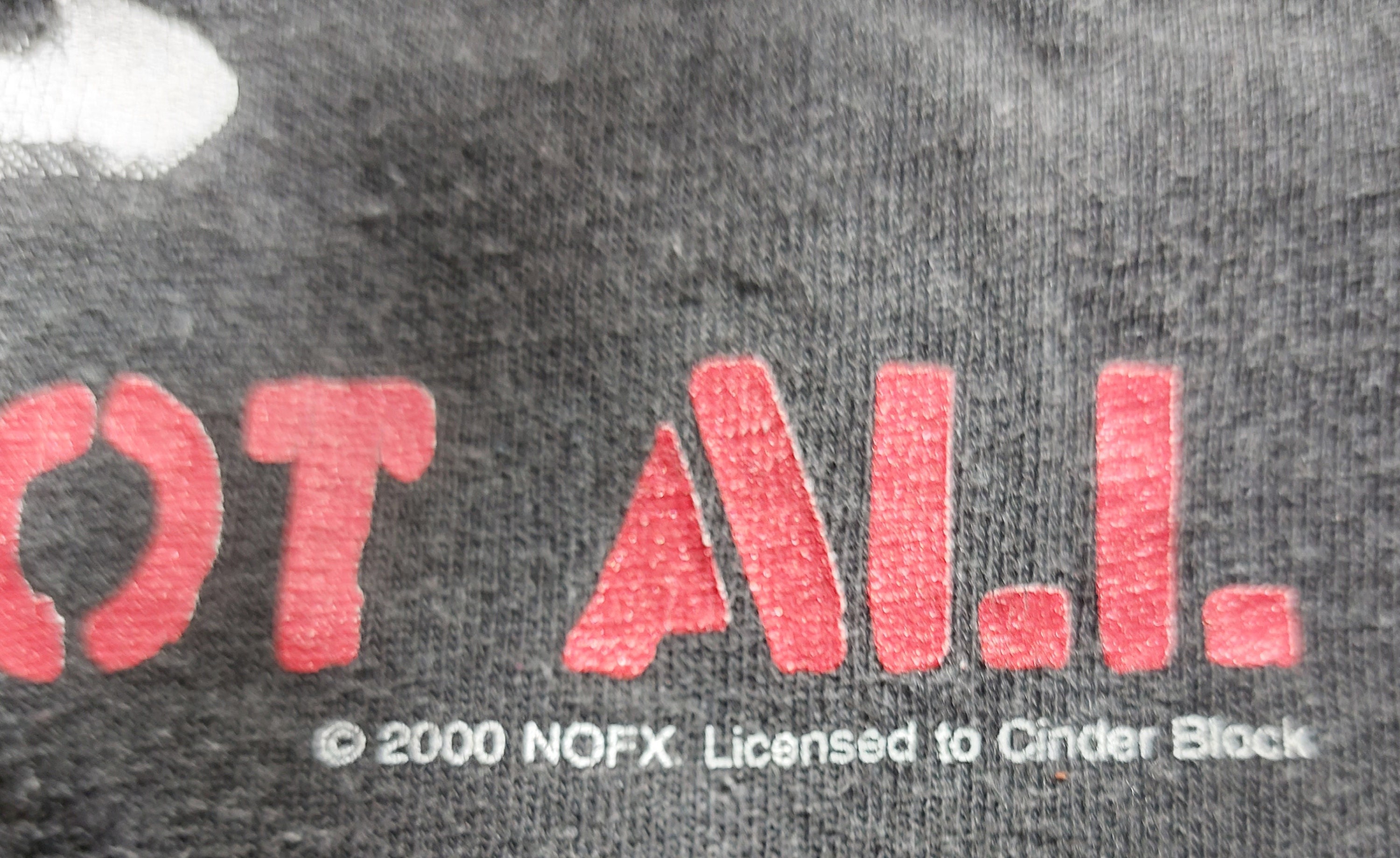 【山田bot さま】NOFX「THE DECLINE」ＴシャツXL　FAT il_fullxfull.5596982757_r5lw.jpg