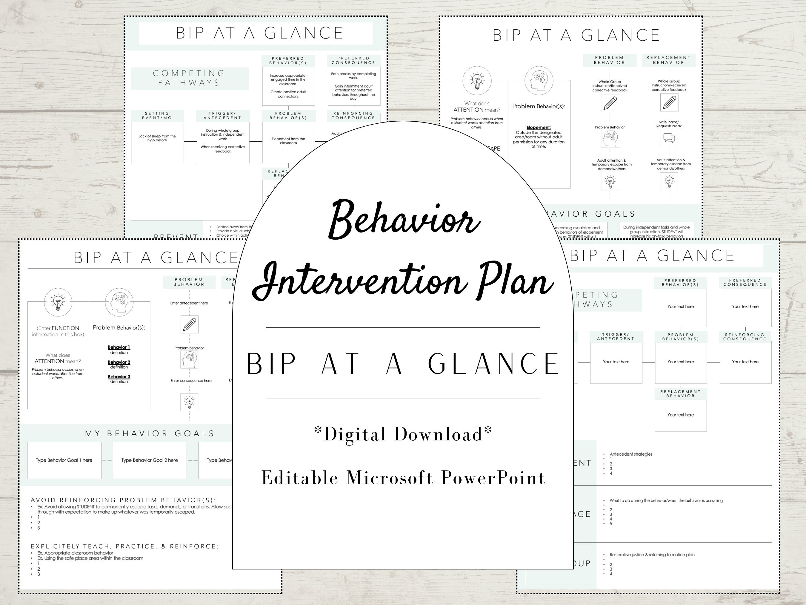 Behavior Intervention Plan BIP at a Glance Digital Download Editable
