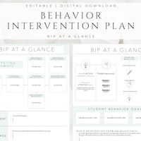 Behavior Intervention Plan | BIP at a Glance | Digital Download ...