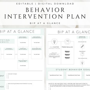 Piano di intervento comportamentale / BIP in sintesi / Download digitale / Modificabile / Terapia ABA / Psicologo scolastico / FBA / Modello / Comportamentale