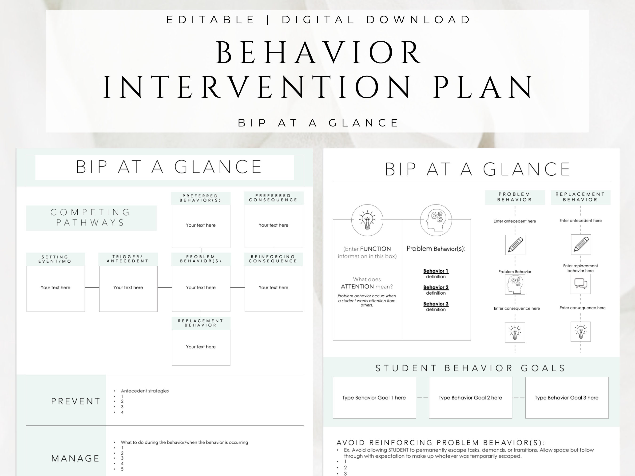 Behavior intervention plan bip at a glance digital download