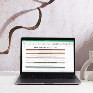 Op de afbeelding: Een laptopcomputer die een spreadsheet toont met de titel "NASSP Domains of Practice". De spreadsheet is verdeeld in secties met verschillende gekleurde achtergronden. De laptop staat op een wit oppervlak met een witte vaas rechts.