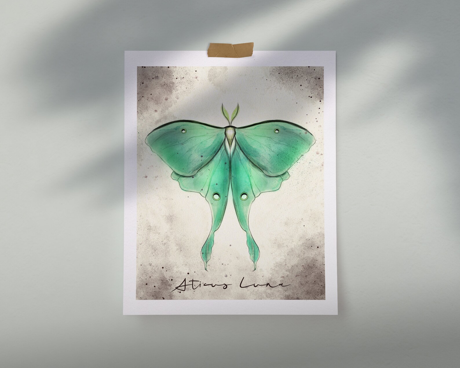 Luna Moth - 8x10 Print | Artwork | Magdalenejeanne - Etsy