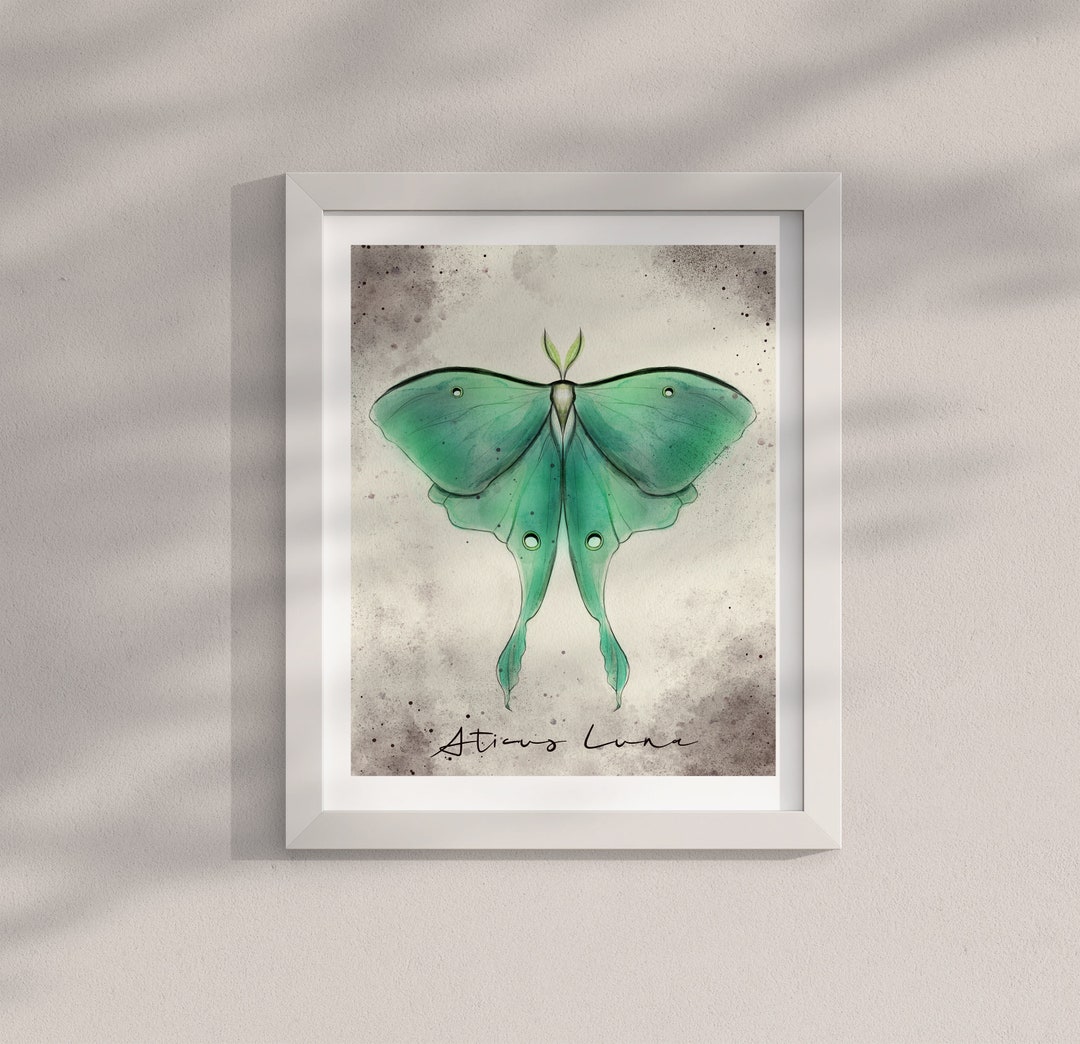 Luna Moth - 8x10 Print | Artwork | Magdalenejeanne - Etsy