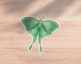 Luna Moth - 4 in Sticker | Artwork | MagdaleneJeanne