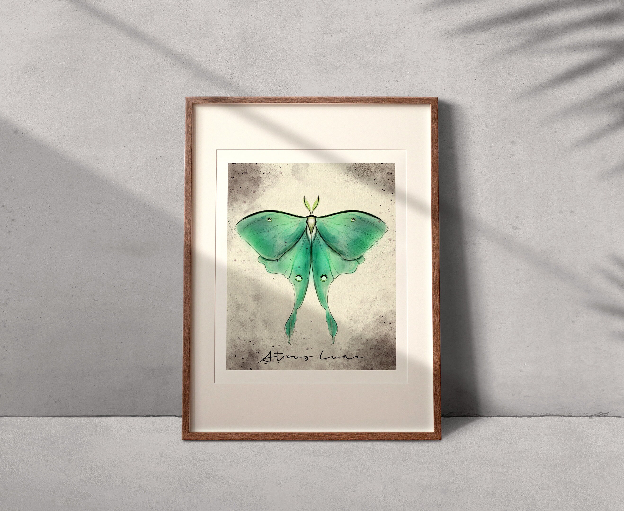 Luna Moth - 8x10 Print | Artwork | Magdalenejeanne - Etsy