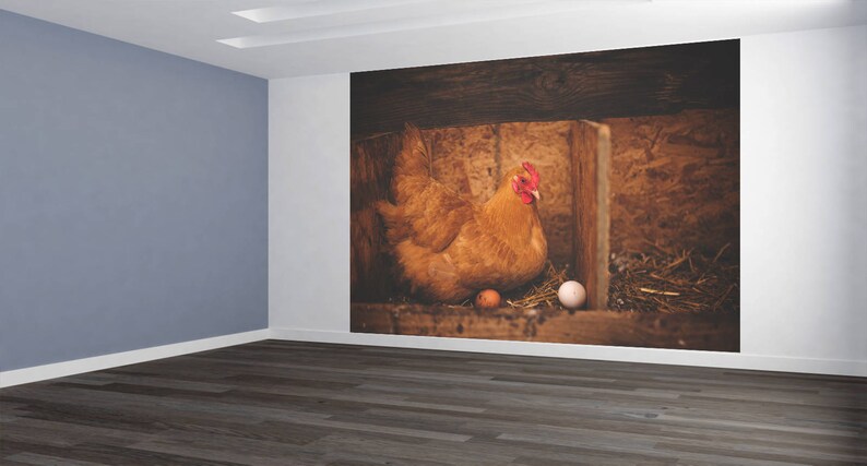 Wall Art Chicken Hut Photo Wallpaper HUGE Peel and Stick