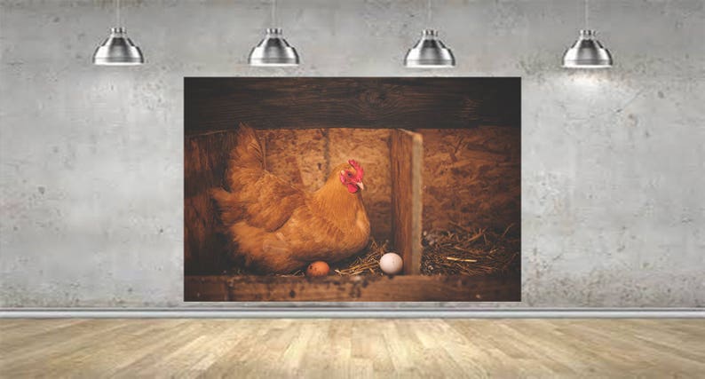 Wall Art Chicken Hut Photo Wallpaper HUGE Peel and Stick