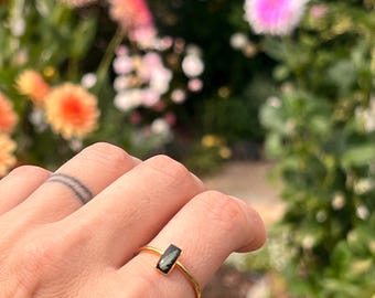 Real Fern Adjustable Ring - Black Background