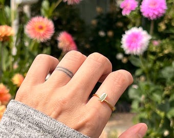 Echter Farn Einstellbarer Ring - Weißer Hintergrund