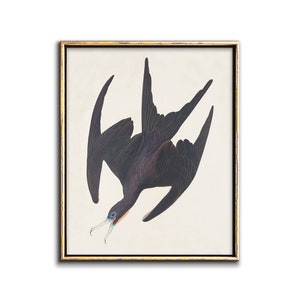 Fliegen Vogel Kunst herunterladbare Druck, Vogel Poster Digital Download Kunst, Vogel druckbare, Vintage Vogel Druck herunterladbare Dekor, Vogel Kunstdruck