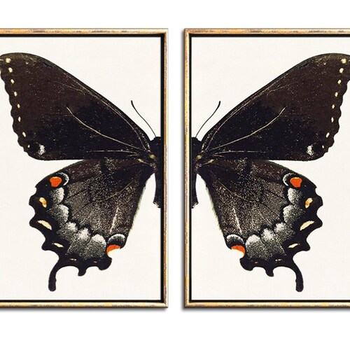 Monarch Butterfly Wall Art Set of 2 Downloadable Prints Etsy