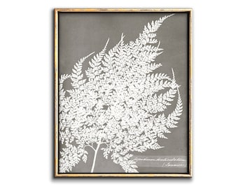 Neutral fern art botanical poster printable artwork, Gray leaf wall art downloadable prints