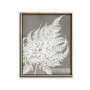 Neutral fern art botanical poster printable artwork, Gray leaf wall art downloadable prints