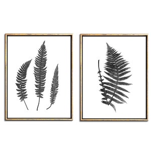 Black and White Fern Print Download, Modern Botanical Print Set Downloadable Prints,  Fern Art Farmhouse Wall Decor