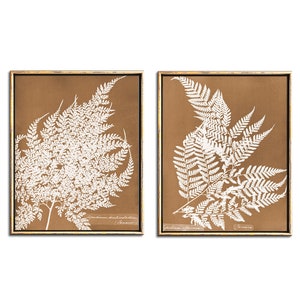 Sepia Fern Botanical Print Set of 2 Digital Download Art, Modern Farmhouse Fern Print Set Printable Wall Art Set of 2 Entryway Wall Decor