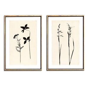 Conjunto mínimo de pôsteres botânicos de duas impressões digitais, desenhos simples para impressão em tinta de flores e gramíneas, arte para download