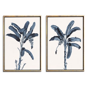 Download instantâneo de ilustrações de bananeira azul, conjunto de pôsteres de folhas botânicas vintage para impressão tropical com 2 impressões digitais