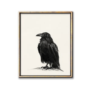 Raven Art Downloadable Prints, Bird Charcoal DrawingPrintable Wall Art, Crow Digital Download, Bird Poster Gallery Wall Artwork image 1