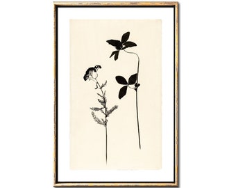 Botanical ink drawing printable art, Minimalist flower poster instant download wall decor