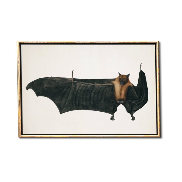 18th-century Bat Illustration Downloadable Prints, Vintage Halloween Printable Wall Art