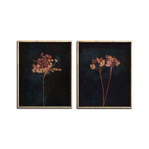 Downloadable botanical print set of two, Drama decor dark botanical poster printable wall art