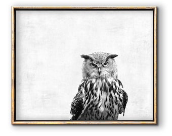 Owl Artwork, Owl Printable, Downloadable Prints, Bird Printable, Owl Art Black and White, Bird Wall Art, Owl Decor, Black and White Owl Art