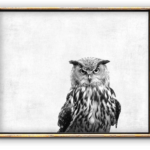 Owl Artwork Owl Printable Downloadable Prints Bird - Etsy