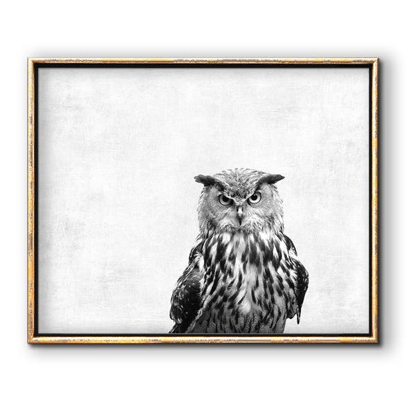 Owl Artwork, Owl Printable, Downloadable Prints, Bird Printable, Owl Art Black and White, Bird Wall Art, Owl Decor, Black and White Owl Art