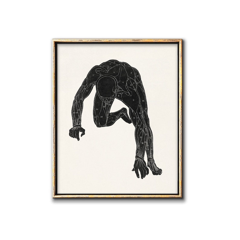 Vintage Anatomy Poster Downloadable Prints, Science Wall Art Digital Download, Male Figure Figurative Medical Printable Artwork image 1