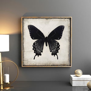 Black Butterfly Wall Art Downloadable Prints, Gothic Home Decor Digital Download Art image 2