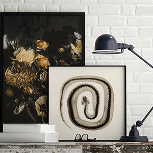 May include: Two framed prints on a white brick wall. The print on the left features a black and gold floral still life. The print on the right features a black and white x-ray image of a snake curled in a circle.