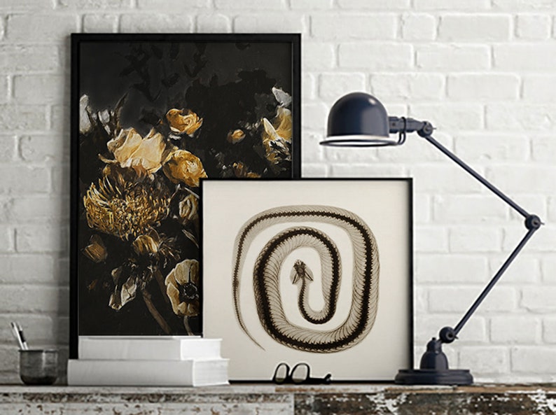 May include: Two framed prints on a white brick wall. The print on the left features a black and gold floral still life. The print on the right features a black and white x-ray image of a snake curled in a circle.