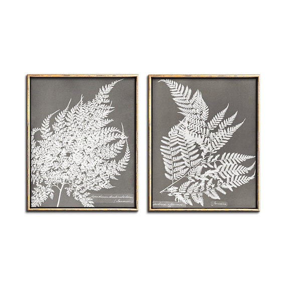 Digital Download Instant Printable Wall Art Fern Leaf Botanical Print