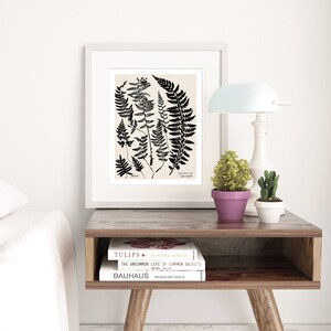 May include: A framed black and white botanical illustration of ferns with the title "Ferns of  Sphenopteris" on a cream background. The frame is white and the print is sitting on a wooden table with three books stacked on top of each other. The books are titled "Tulips", "The Uncommon Life of Common Objects", and "Bauhaus".