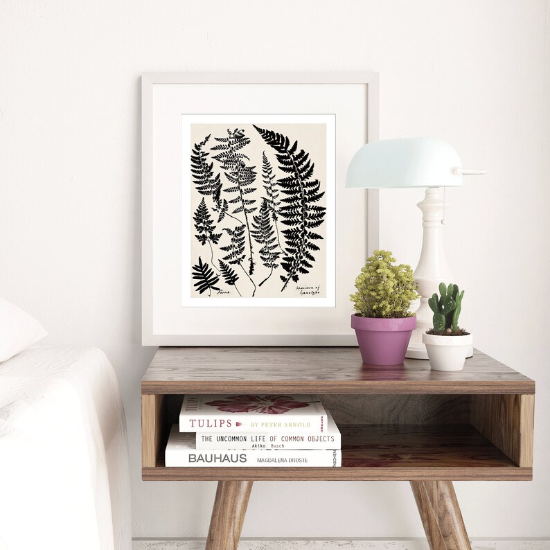 May include: A framed black and white botanical illustration of ferns with the title "Ferns of  Sphenopteris" on a cream background. The frame is white and the print is sitting on a wooden table with three books stacked on top of each other. The books are titled "Tulips", "The Uncommon Life of Common Objects", and "Bauhaus".