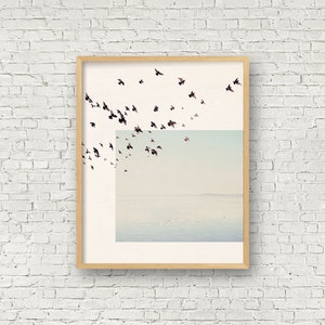 May include: A framed print of a minimalist landscape with a flock of birds flying over a body of water. The sky is a soft blue and the water is a light blue. The birds are black silhouettes against the sky.