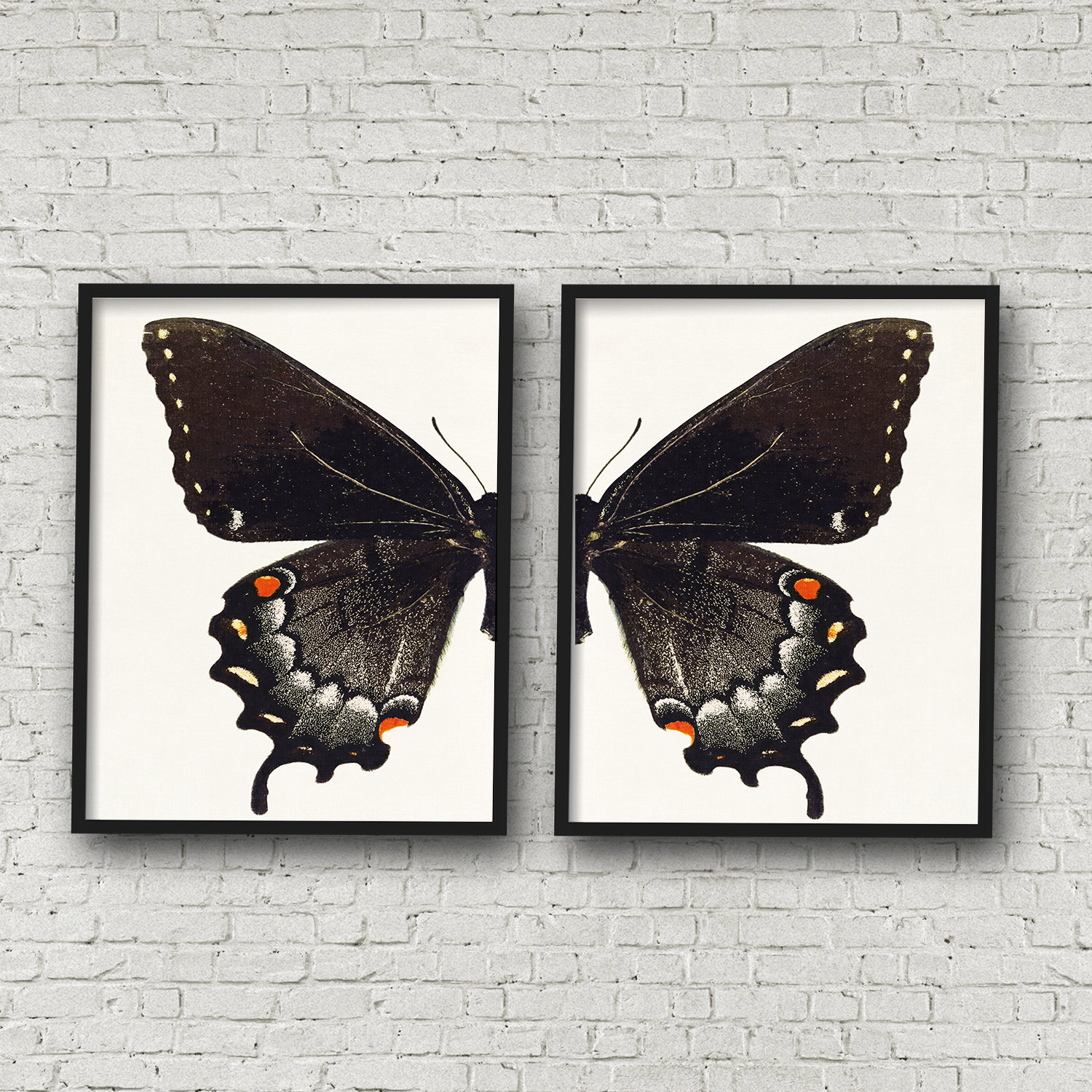 Black Butterfly Wall Art Set of 2 Digital Download Gothic Etsy