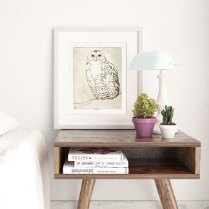 Snowy Owl Print Downloadable Prints, Bird Artwork Neutral Wall Art Printable, Bird Etching Wildlife Art Printables, Vintage Bird Art image 3
