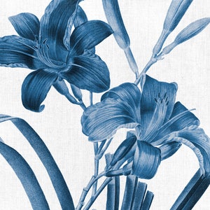 May include: A blue and white botanical print featuring two lilies with long, slender leaves. The lilies are in full bloom and have a delicate, elegant appearance.