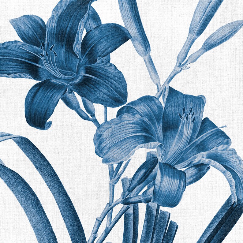 May include: A blue and white botanical print featuring two lilies with long, slender leaves. The lilies are in full bloom and have a delicate, elegant appearance.